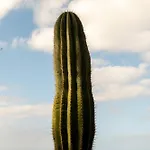 La Casa De La Playa וילה *